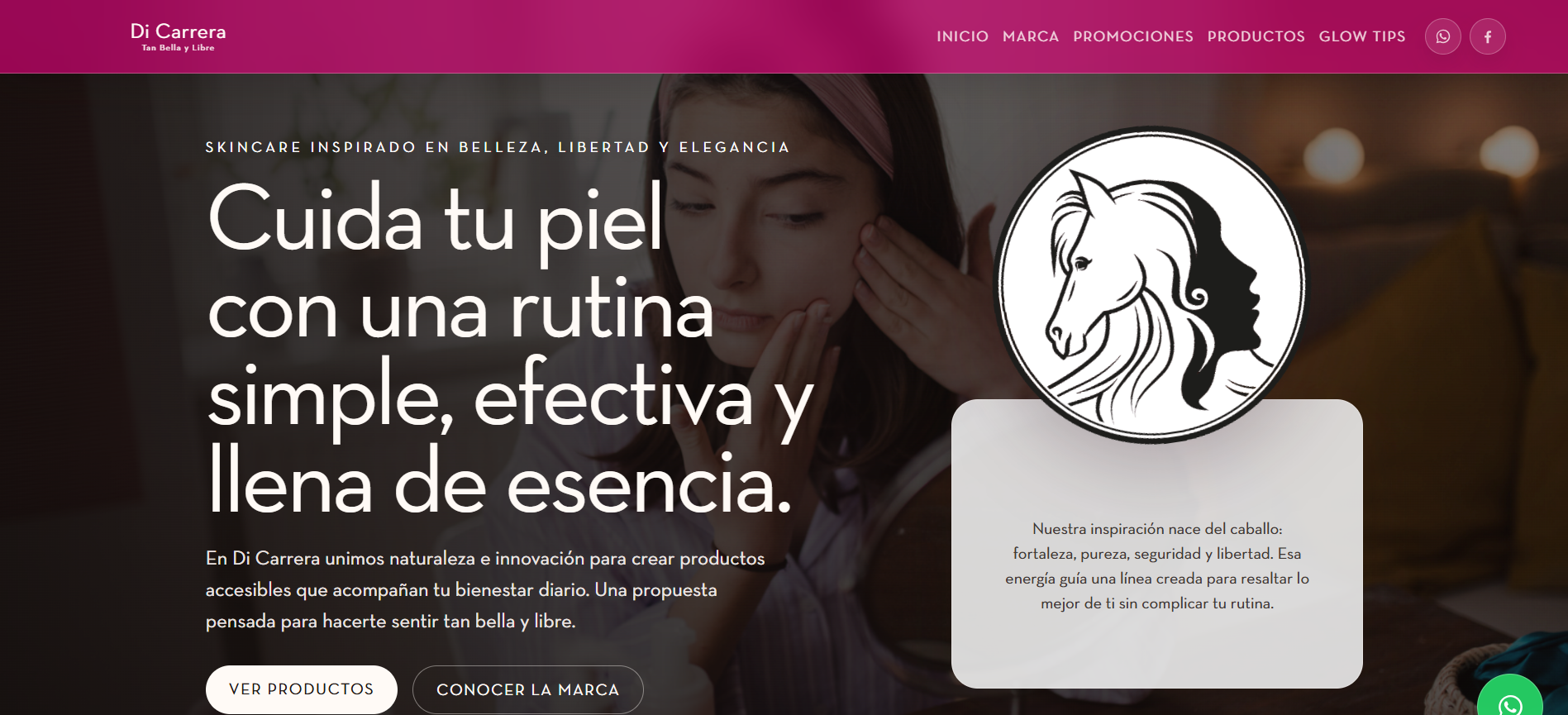 Vista previa del sitio web de DiCarrera