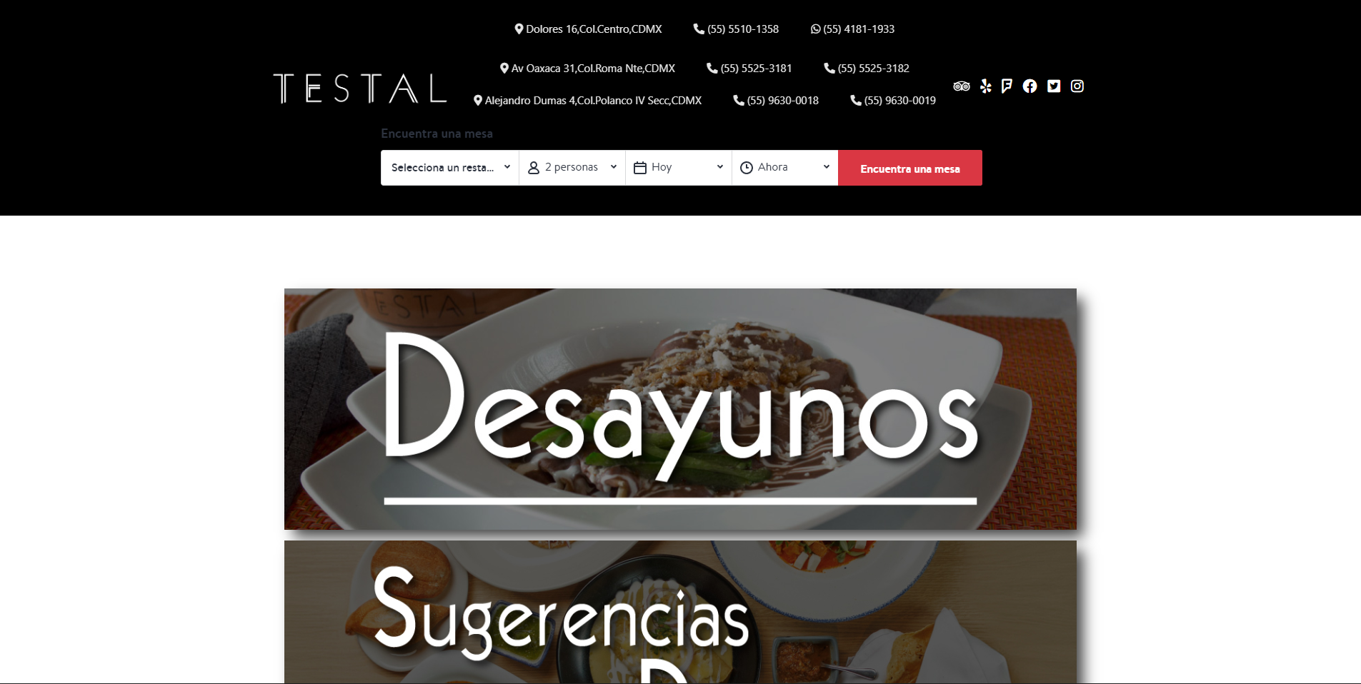 Vista previa del sitio web de Testal